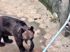 -无锡动物园·太湖欢乐园