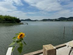 -东钱湖旅游度假区