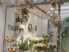 -溪岸路花鸟市场