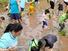 -宾果蒙特梭利托育儿童之家幼儿园(爱琴海店)