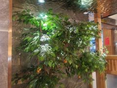 -邵汇大虾火锅(鲁迅路店)