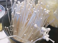 -江小渔鲜鱼火锅(辽沈二街店)