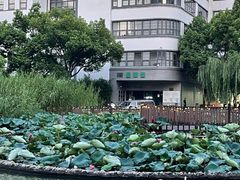 -苏州河梦清园环保主题公园