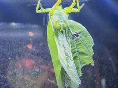 -正佳雨林生态植物园