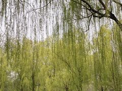 -济南恒隆广场