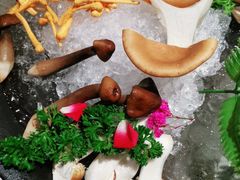 -捞王锅物料理(上海世茂广场店)