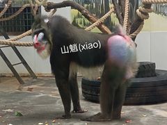 -西安秦岭野生动物园