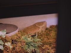 -山野咖啡(之江花园店)