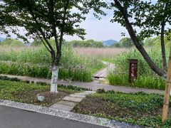 -长田漾湿地公园