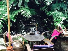 -Fern Forest Cafe