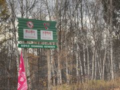 -莫尔道嘎国家森林公园