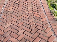 -洪湖湿地生态园