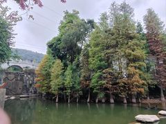 -广州市帽峰山景区