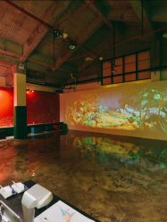 -恐龙探索乐园(磁器口店)