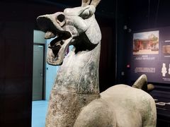 -广西壮族自治区博物馆