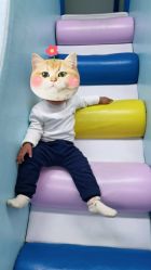 -孩子王童乐园(马群店)