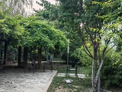 -会宾园·云山宴中餐