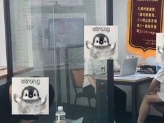 -JT PREP国际学科课程·IB·AP·Alevel(陆家嘴校区)