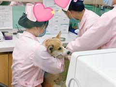-全心全意连锁动物医院(石景山店)