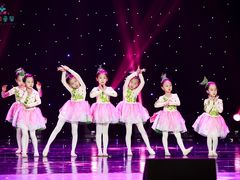 -艺彩童馨舞蹈培训学校(西湖道校区)