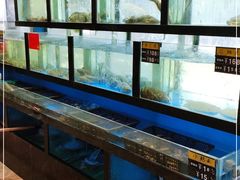 水产区-聚鑫阁江浙菜·非遗传承技艺(闵行交大店)