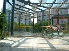 -御彩酒家(东风东路店)
