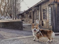-冶山国家矿山公园