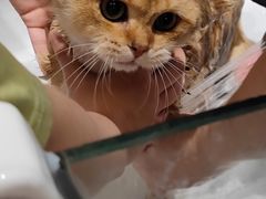 -FAELING PETS美天灵宠物(合生汇店)