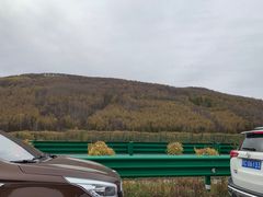 -塞罕坝国家级自然保护区