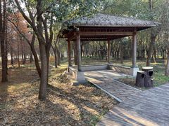 -同里国家湿地公园