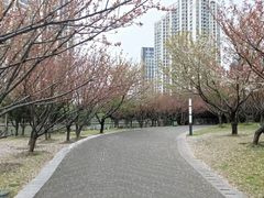 -苏州河梦清园环保主题公园