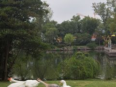 -台州府城(东湖)