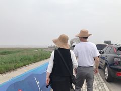 -南汇嘴观海公园