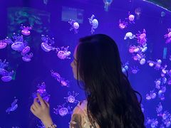 -石家庄极地海洋世界