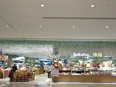 -重庆市江北嘴中央商务区中央公园