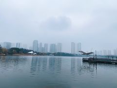 -月湖风景区