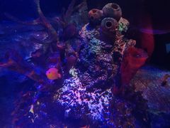 -沈阳海洋探索中心