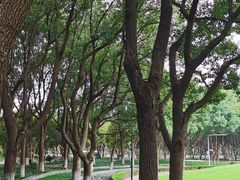 -昆山城市公园
