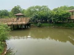 -无锡动物园·太湖欢乐园