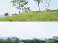 -良渚古城遗址公园