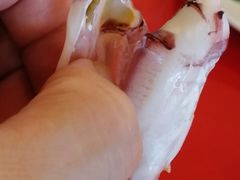 -大树下海鲜饭店