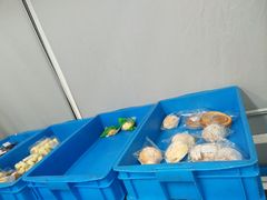 -来噻布布 Lets BUBU