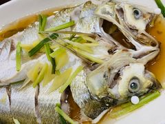 清蒸白鱼-观桥阁(锦溪店)