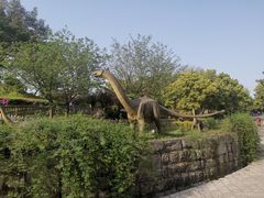 -自贡恐龙博物馆