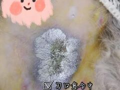 -美联众合动物医院(唯恩分院)