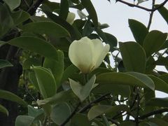 -沐仙湖湿地公园