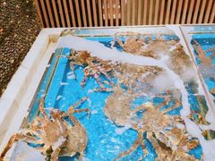 水产区-蟹将军·松叶蟹和牛日料放题自助(K11店)