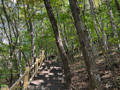 -本溪汤沟绿石谷森林公园