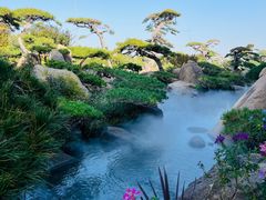 -罗红摄影艺术馆