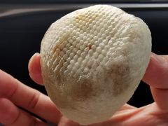 -生宇山珍野生菌汤锅•始于1999(双流古塔店)